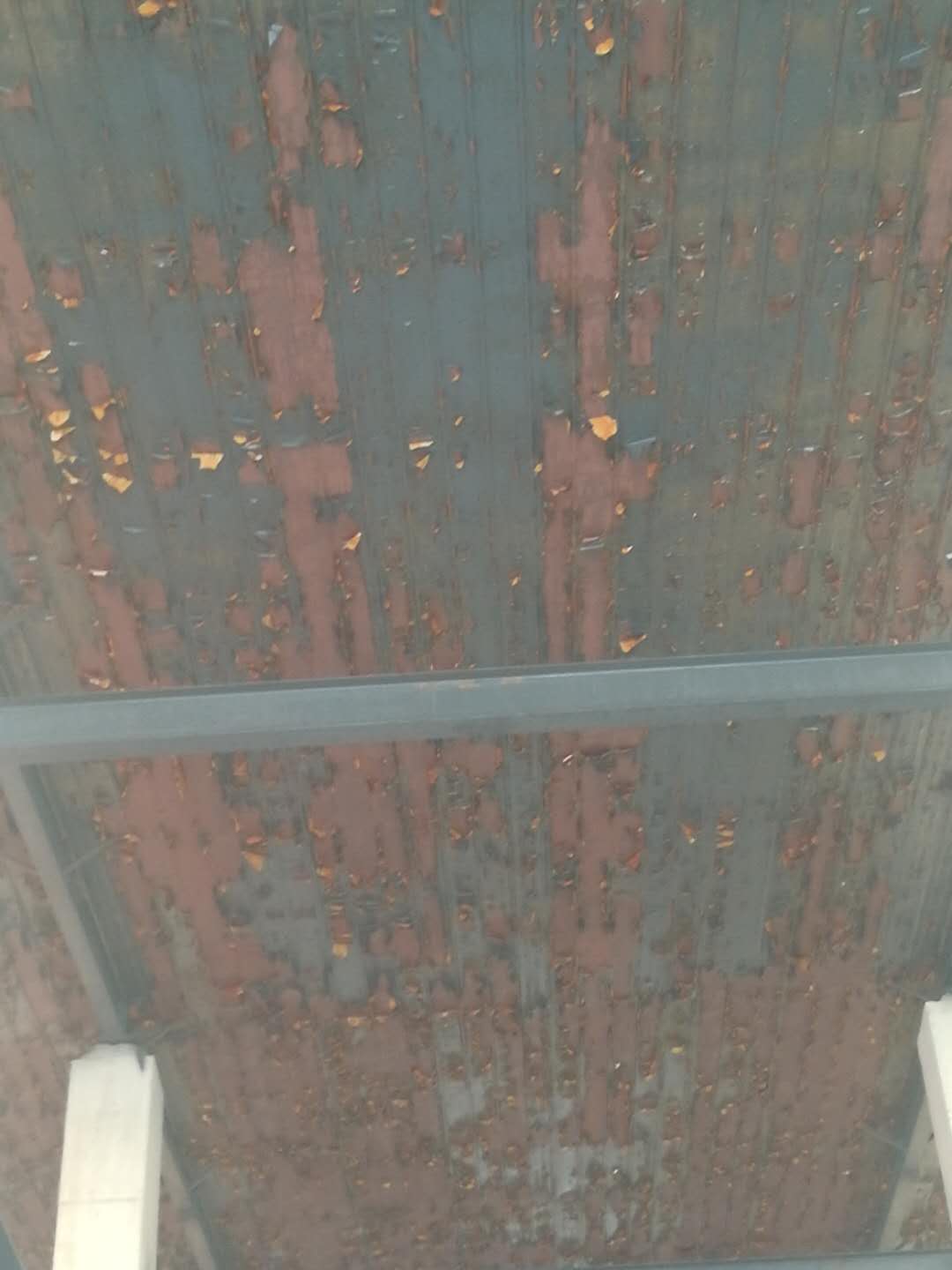 化工廠彩鋼板墻面腐蝕嚴重 化工廠彩鋼板墻面腐蝕嚴重