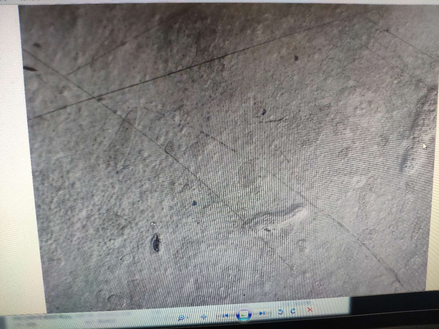 浸泡腐蝕液體前耐酸堿防腐漆顯微鏡下的微觀結(jié)構(gòu) 浸泡腐蝕液體前耐酸堿防腐漆顯微鏡下的微觀結(jié)構(gòu)
